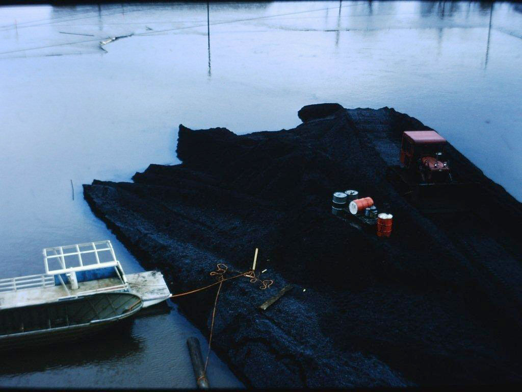 Pieces of the Past - 1965 Flood